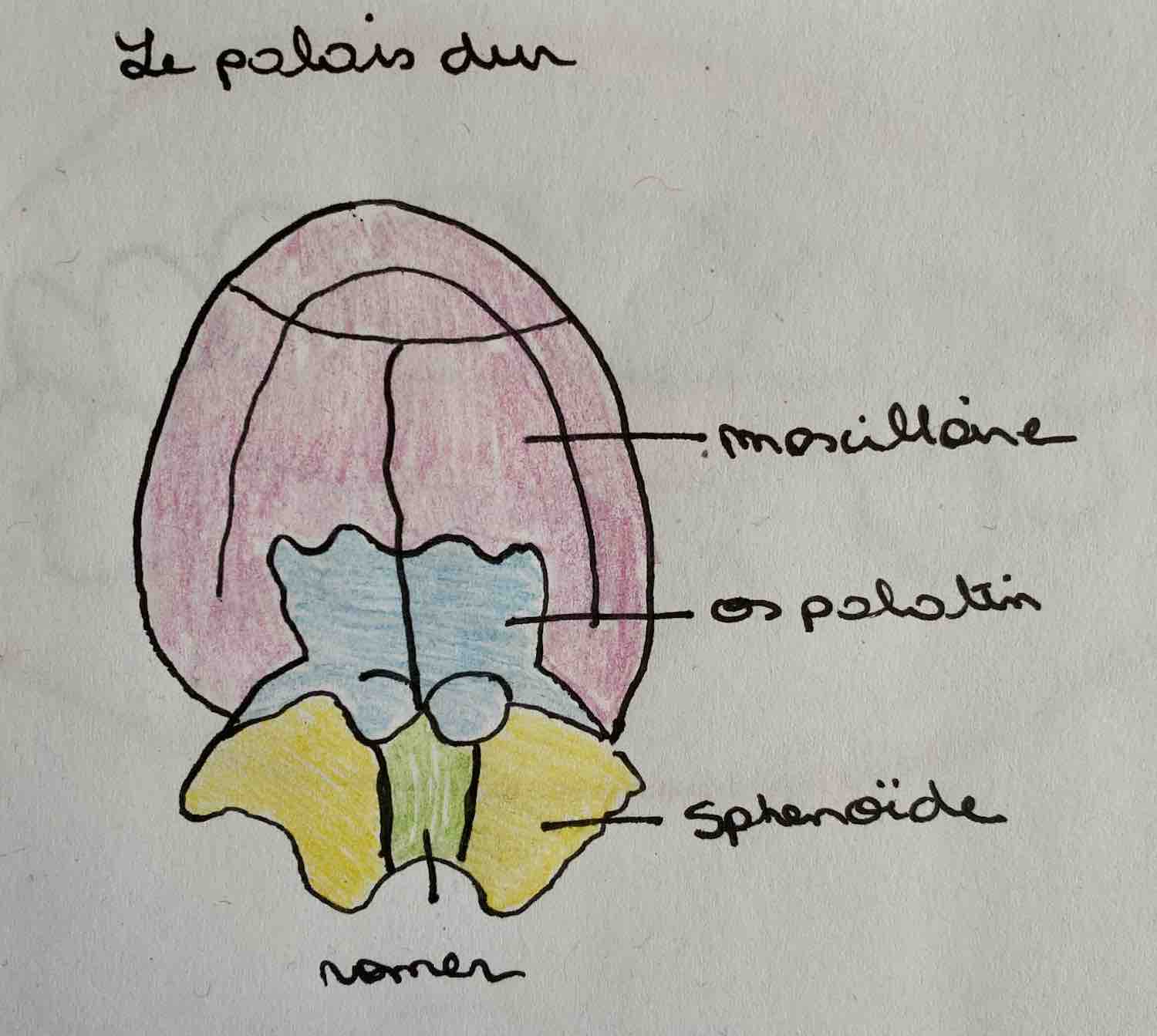 Le Syndrome De Confusion Sein Biberon Tetine Au Sein En Douceur