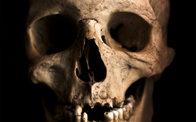 Classe : L’allaitement dans l’involution humaine